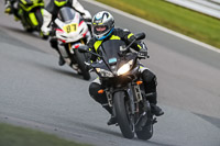 Oulton-Park-21st-March-2020;PJ-Motorsport-Photography-2020;anglesey;brands-hatch;cadwell-park;croft;donington-park;enduro-digital-images;event-digital-images;eventdigitalimages;mallory;no-limits;oulton-park;peter-wileman-photography;racing-digital-images;silverstone;snetterton;trackday-digital-images;trackday-photos;vmcc-banbury-run;welsh-2-day-enduro